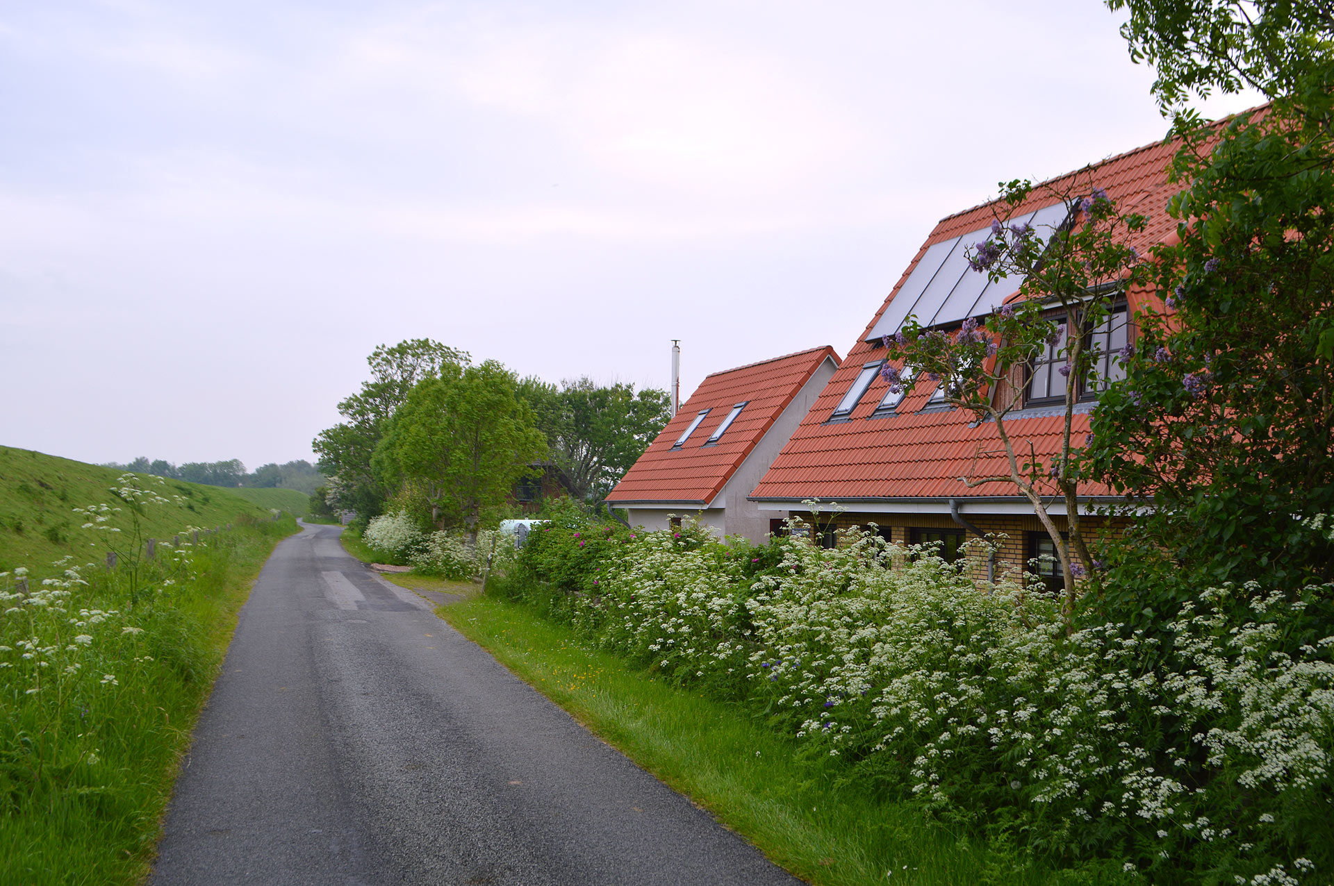 Ferienhaus Weitblick Ferienwohnung Poppenbüll SPO Eiderstedt